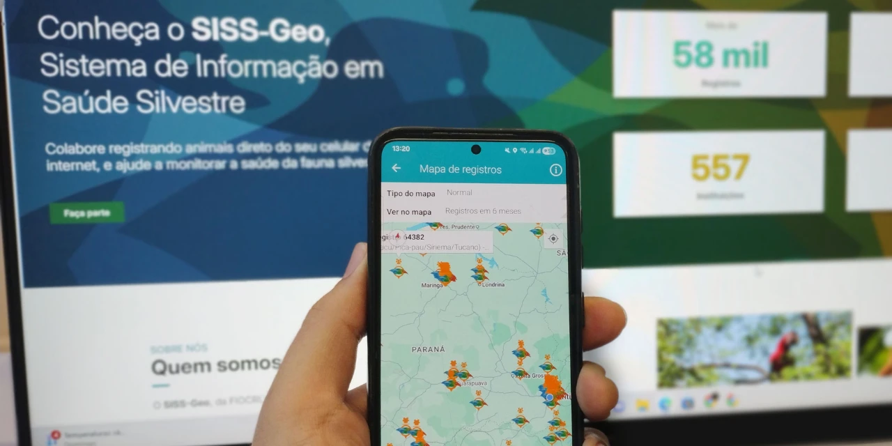 Paraná se destaca no uso de tecnologia de vigilância e mantém cenário sem casos de febre amarela em humanos