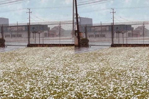 'Chuva com granizo forte' chega ao Paraná e assusta moradores