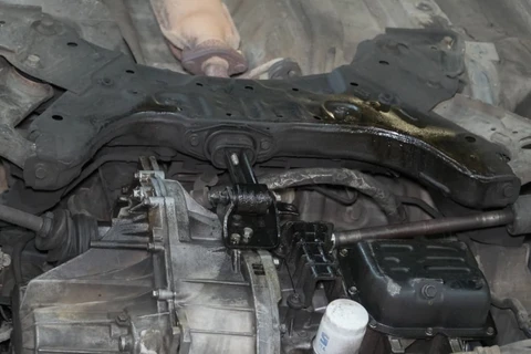 Foto: Ricardo Marcondes/D'Ponta News