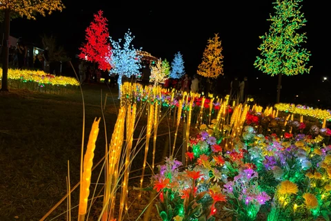 Foto: Heryvelton Martins / D'Ponta News