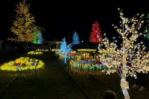 Foto: Heryvelton Martins / D'Ponta News