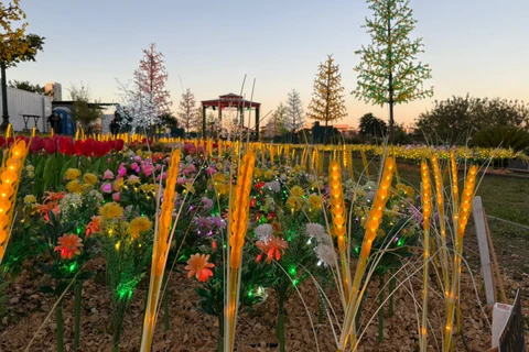 Foto: Heryvelton Martins / D'Ponta News