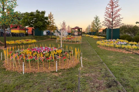 Foto: Heryvelton Martins / D'Ponta News