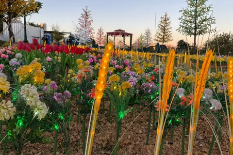 Foto: Heryvelton Martins / D'Ponta News