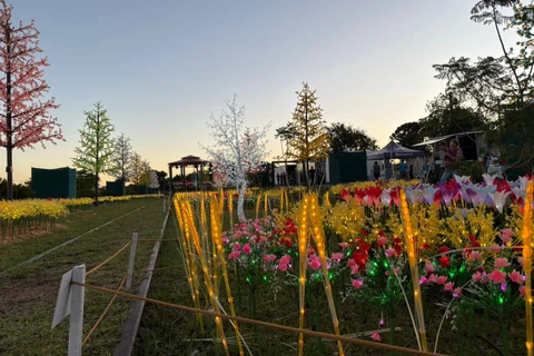 Foto: Heryvelton Martins / D'Ponta News