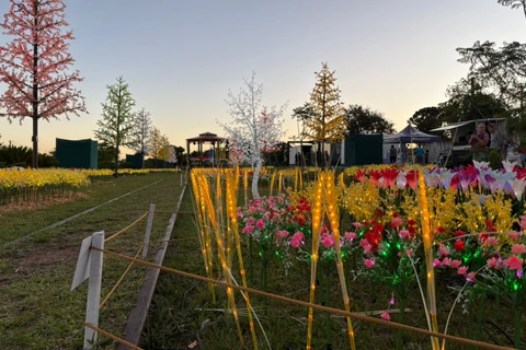 Foto: Heryvelton Martins / D'Ponta News