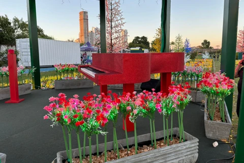 Foto: Heryvelton Martins / D'Ponta News