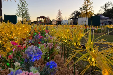 Foto: Heryvelton Martins / D'Ponta News