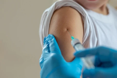 Vacina brasileira de dose única contra a dengue é aprovada pela Anvisa