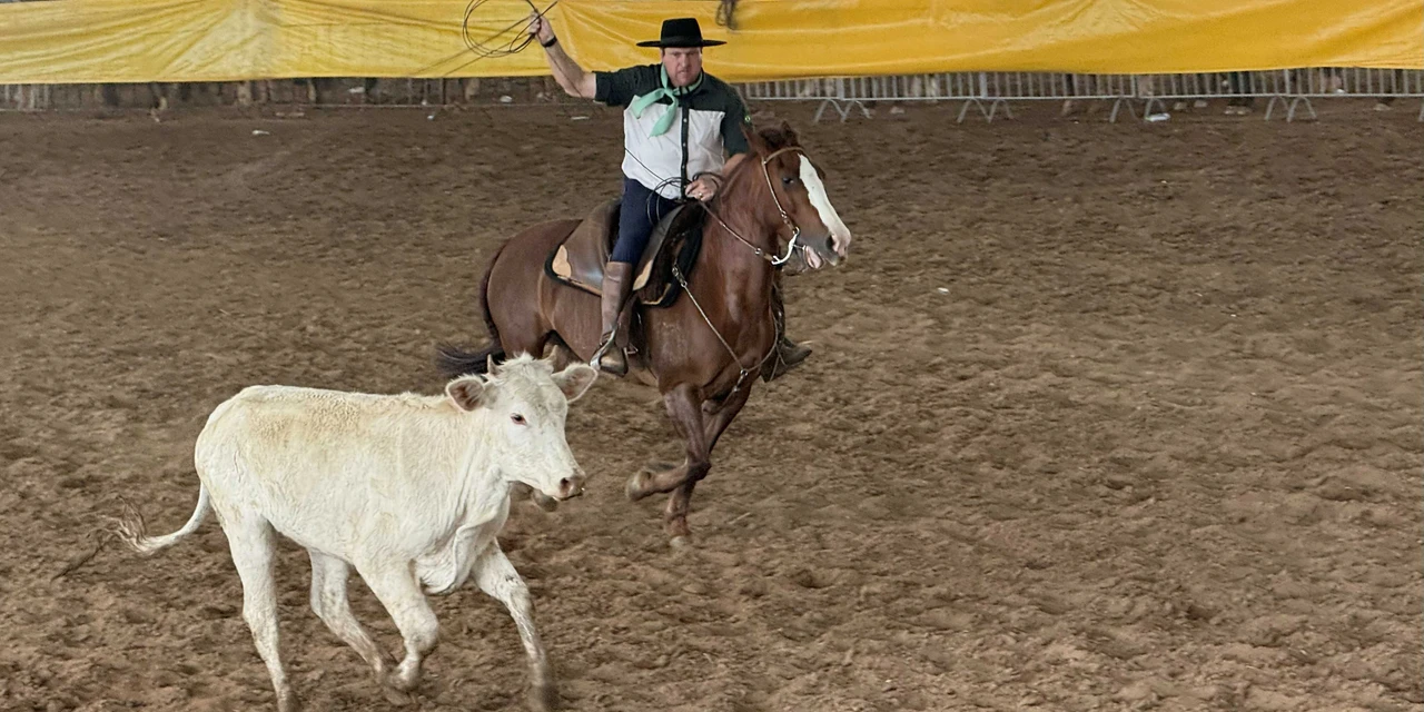Castro irá receber evento estadual de seleções campeiras em dezembro