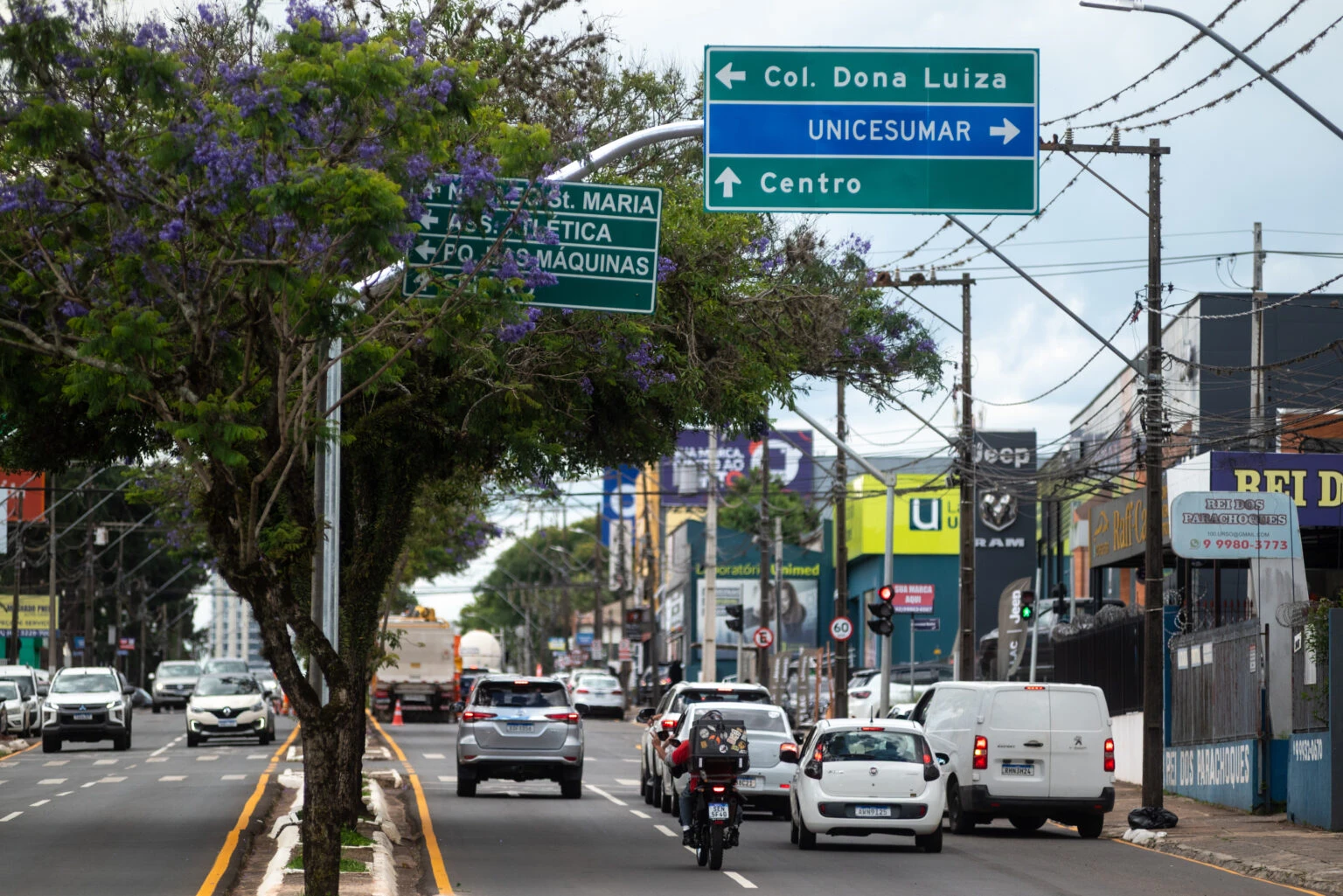 Avenida Visconde de Mauá | Foto: Henry Milleo/PMPG
