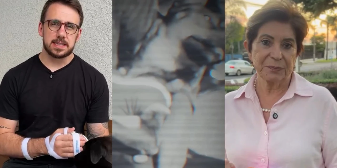 Stocco e Elizabeth trocam acusações sobre nova empresa de castrações: 'eles continuam sentindo dor'