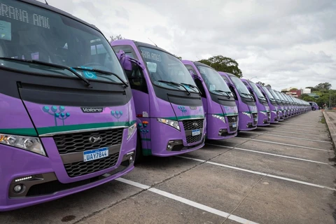 Reconhecida como cidade Amiga do Idoso, Palmeira recebe ônibus do 'Cuida Mais Paraná'