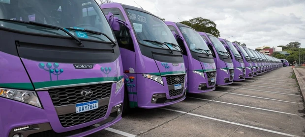 Reconhecida como cidade Amiga do Idoso, Palmeira recebe ônibus do 'Cuida Mais Paraná'