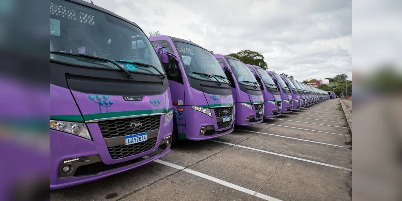 Reconhecida como cidade Amiga do Idoso, Palmeira recebe ônibus do 'Cuida Mais Paraná'