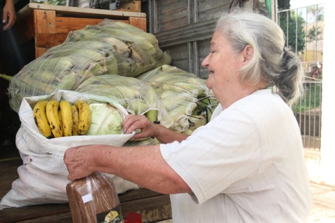 Feira Verde abre dezembro com equipes em 13 locais de Ponta Grossa