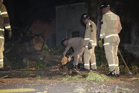 Foto: Reinaldo Marcondes/D'Ponta News