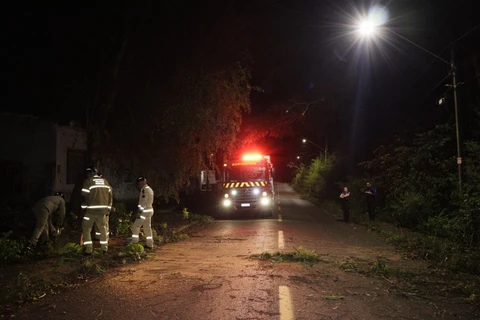 Foto: Reinaldo Marcondes/D'Ponta News