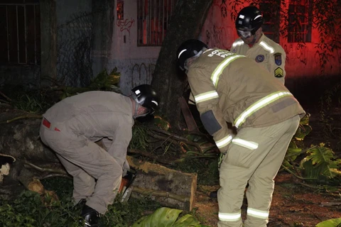 Foto: Reinaldo Marcondes/D'Ponta News