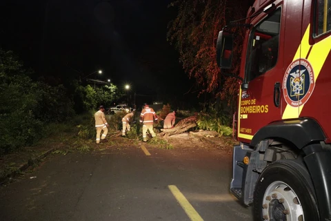 Foto: Reinaldo Marcondes/D'Ponta News