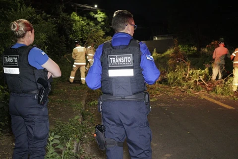 Foto: Reinaldo Marcondes/D'Ponta News