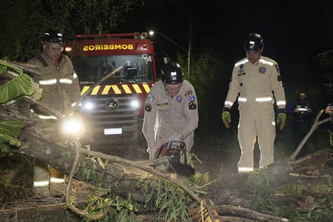 Foto: Reinaldo Marcondes/D'Ponta News