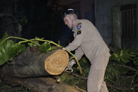 Foto: Reinaldo Marcondes/D'Ponta News