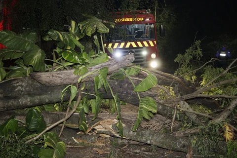Foto: Reinaldo Marcondes/D'Ponta News