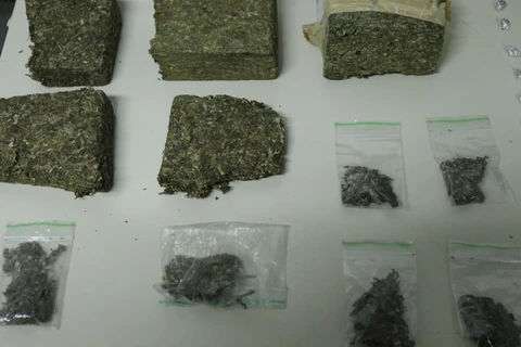 Foto: Reinaldo Marcondes/D'Ponta News