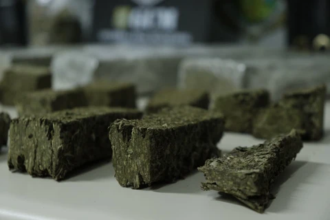 Foto: Reinaldo Marcondes/D'Ponta News