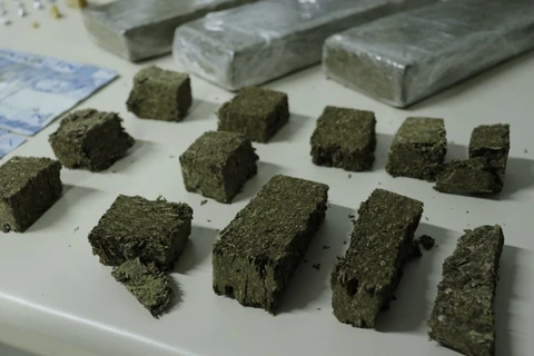 Foto: Reinaldo Marcondes/D'Ponta News