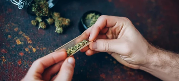 Estudo aponta que curiosidade genética, e não vício, pode influenciar o uso de cannabis ao longo da vida