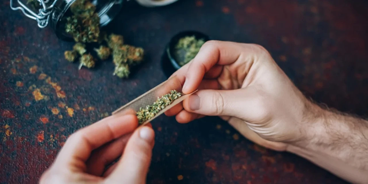 Estudo aponta que curiosidade genética, e não vício, pode influenciar o uso de cannabis ao longo da vida