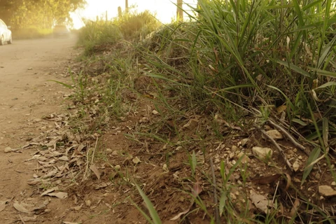 Reinaldo Marcondes / D'Ponta News