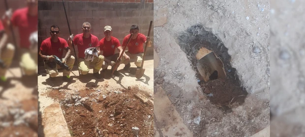 Bombeiros resgatam cachorro que ficou preso dentro de cano em Ponta Grossa