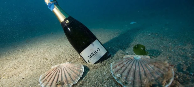 Vinhos & Viagens: 'Miolo Under the Sea conquista Prêmio Grandes Cases de Embalagem 2025', por Patrícia Ecave