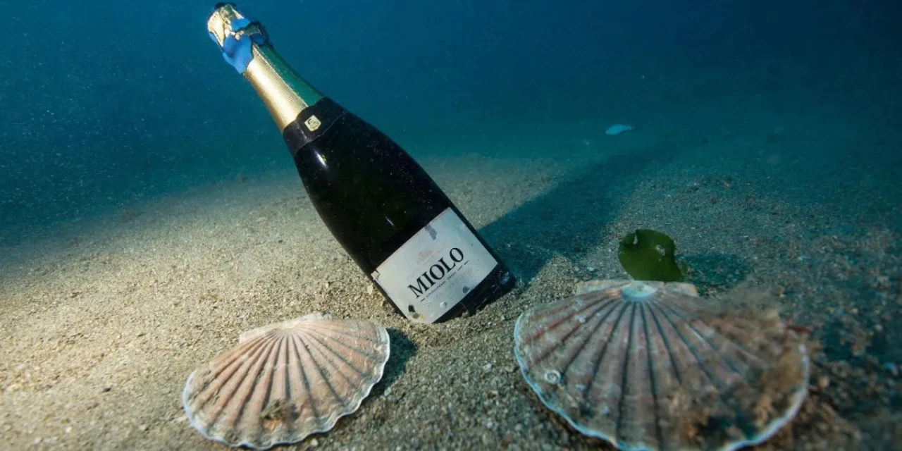 Vinhos & Viagens: 'Miolo Under the Sea conquista Prêmio Grandes Cases de Embalagem 2025', por Patrícia Ecave