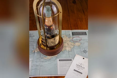 whatsapp-image-2025-12-08-at-163510-1