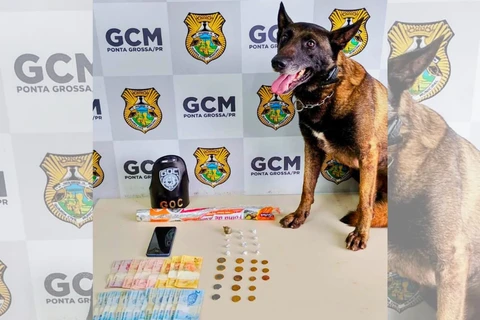 Cliente e comerciante são detidos por tráfico de drogas em bairro de PG