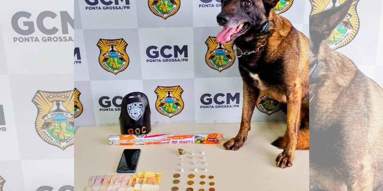 Cliente e comerciante são detidos por tráfico de drogas em bairro de PG