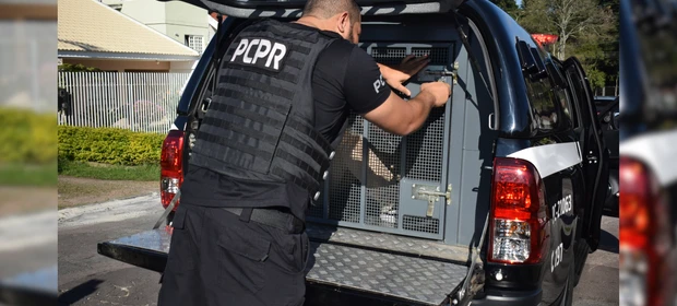 Polícia prende professor que aplicava golpes contra empresas de turismo em Prudentópolis