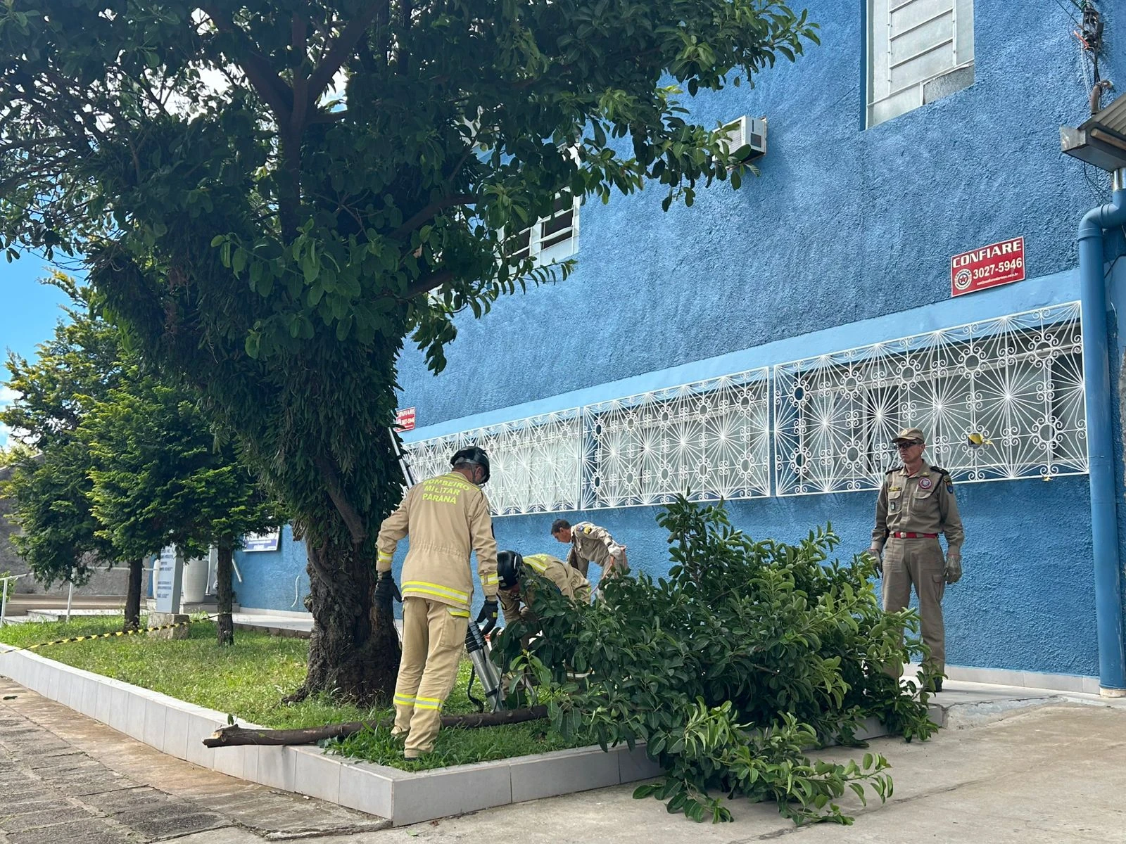 Bombeiros realizam a poda da árvores na Rua Ataulfo Alves