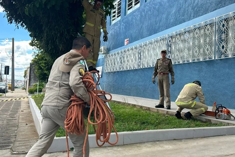 Gabriel Aparecido / D'Ponta News