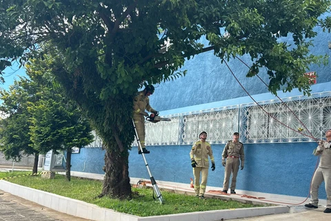 Gabriel Aparecido / D'Ponta News