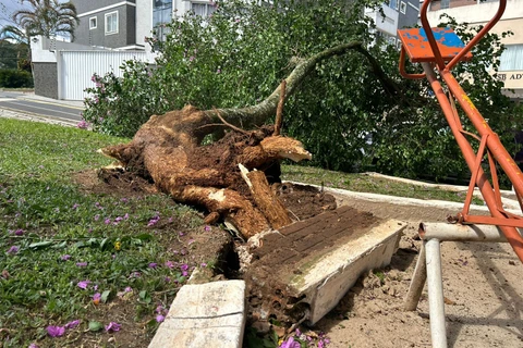 Gabriel Aparecido / D'Ponta News