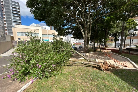 Gabriel Aparecido / D'Ponta News