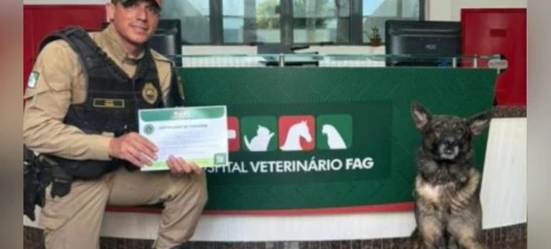 Cão de operações da Polícia Rodoviária doa sangue para ajudar hospital veterinário 