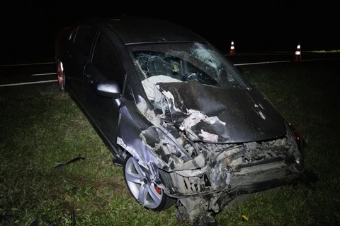 Foto: Reinaldo Marcondes/D'Ponta News