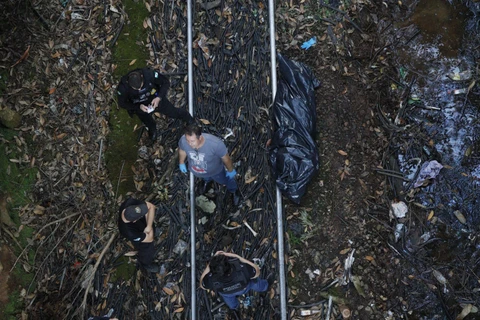 Reinaldo Marcondes / D'Ponta News