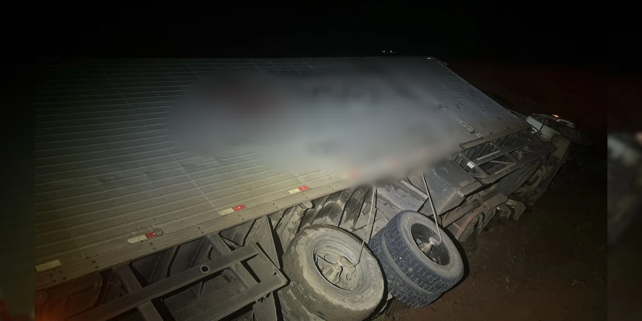 Caminhão perde o controle e tomba na PR-160, em Telêmaco Borba